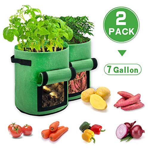 Ledeak Potato Plant Grow Bags, 2 Pack 7 Gallon Aeration Fabric Pots with Strap Handles and Flap, Premium Thickened Nonwoven Fabric Containers for Nursery Garden Vegetable Planting(Green)