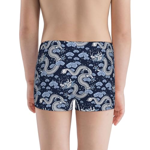 Boys' Cotton Boxer Brief Soft Underwear-Dragon3