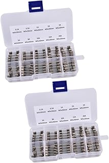 OSALADI 200 Pcs 10 Quick Blow Glass Fuses Glass Tube Fuses Glass Fuses Assortment Glass Fuses Kit Glass Tube Fuse Kit 20a Boxed Assorted