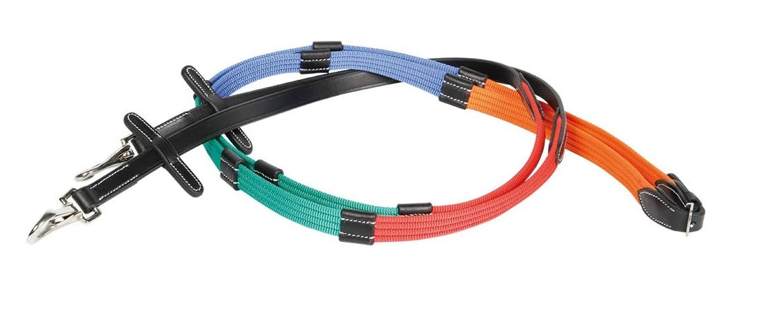 NETPROSHOP Merhrarbiger Gurtzügel mit Lederstegen sehr gut für Anfänger Auswahl Pony/Full, Groesse:Pony