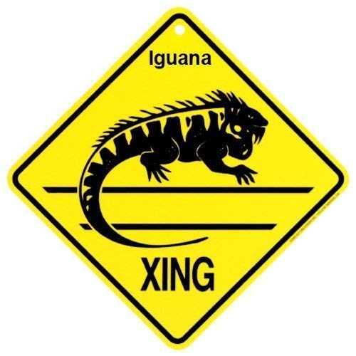 New Metal Tin Sign Iguana Xing Caution Crossing Sign Wildlife Gift for Indoor Outdoor Wall Decor 8x8 Square Sign