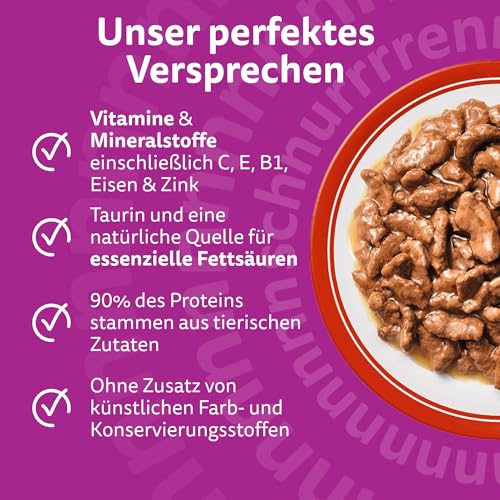 Whiskas 1+ Katzennassfutter Klassische Auswahl in Sauce, 12x85g (4 Packungen) – Hochwertiges Nassfutter für ausgewachsene Katzen in 48 Portionsbeuteln