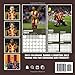 English Football Club Calendar 2022: An Amazing Item That We Of English Football Club Should Have A Copy To Enjoy And Have Fun. Lunar Moon Phases I International, US, UK, DE and CA holidays.