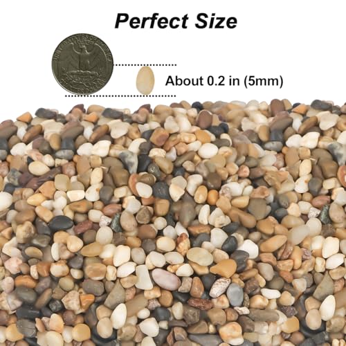 Image of River Rocks, Landscaping Pebbles, Mixed Color Decorative Stones, 1 Pound