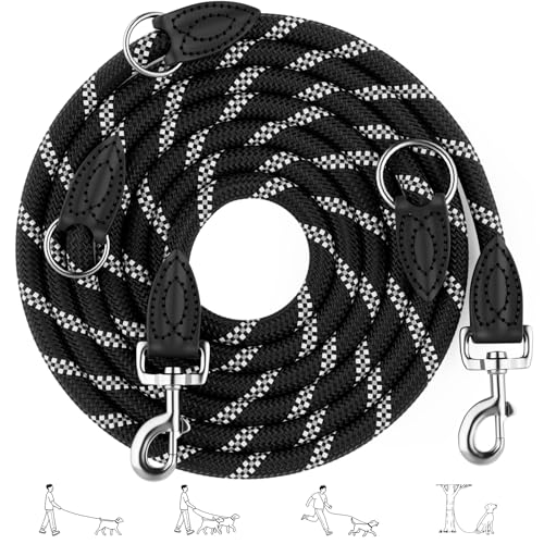 Aystkniet 3M Verstellbar Hundeleine für Große und Mittlere Hunde, Robuste Nylon Reflektierende Freihandleine mit 2 Karabiner, Vielseitig Führleine und Umhängeleine mit 250kg Zugkraft, Schwarz, 12mm