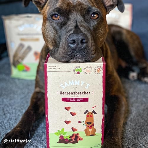 Sammy´s Herzensbrecher | Fein gebackene Snacks für Hunde | Schonend im Ofen gebacken | Mit Rote Bete & Löwenzahn | Reich an Geflügel | ohne Zuckerzusatz | Trainingssnack | 1 x 800 g