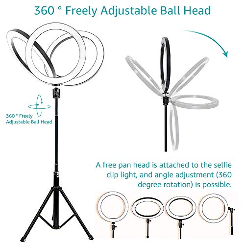 10\'\' Selfie Ring Light - LED Ring Light with Tripod Stand, Adjustable Phone Ring Light Compatible with iOS & Android Phones for Live Video, Makeup, Photography and Vlog Creation