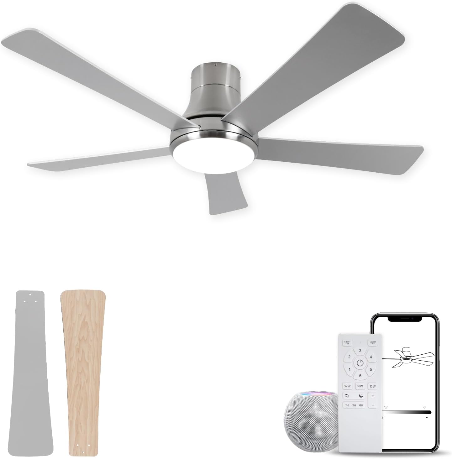 https://m.media-amazon.com/images/I/51kiJe0PVaL._AC_SL1500_.jpg
