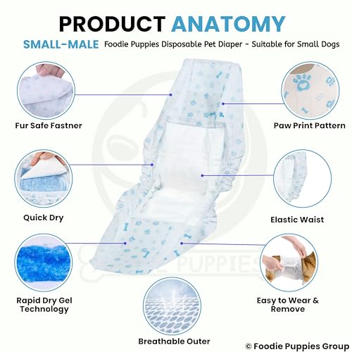 Image of Foodie Puppies Dogs Disposable Diapers for Male Dog - (12Pcs, Small) | Diaper Pants /Sanitary Cotton Underwear Nappy | Leak-Proof, Ultra-Absorbant | Daily and Travelling Purpose