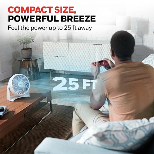 Honeywell TurboForce Air Circulator, Small Tabletop Fan, Quiet Personal Fan for Home or Office, 3 Speeds, 90 Degree Pivoting Head, White, HT-904 - Image 3
