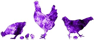 Rooster Chicks Chicken 5" x 12 Purple Flames