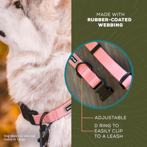 Image of Wilderdog Waterproof Dog Collar - Repels Water & Dirt - Small 11 inch-15 inch - Guava