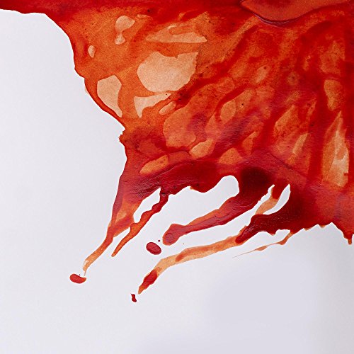 Image of Winsor & Newton Drawing Ink 14 ML - Burnt Sienna (074), Fast Drying, Transparent, Water-Resistant & Intermixable Inks, Ideal for Brush, Dip Pen or Air Brush - More Colours Available