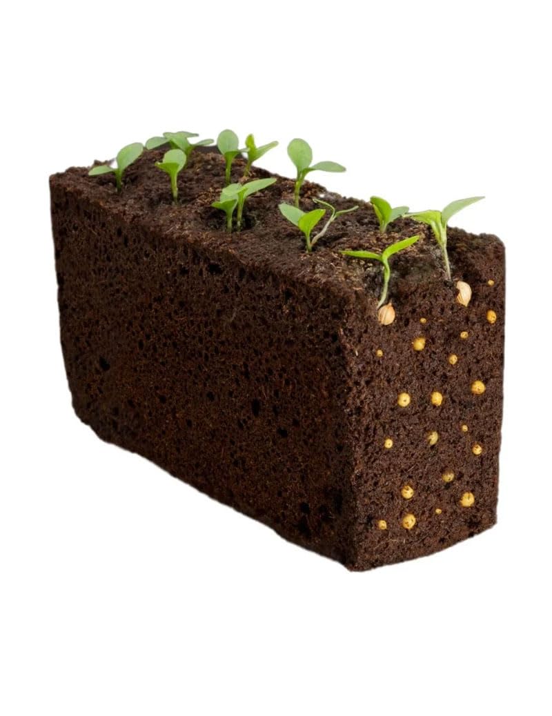 Lingot® Véritable® (Klassische Aromatische Kräuter, Koriander) - 3