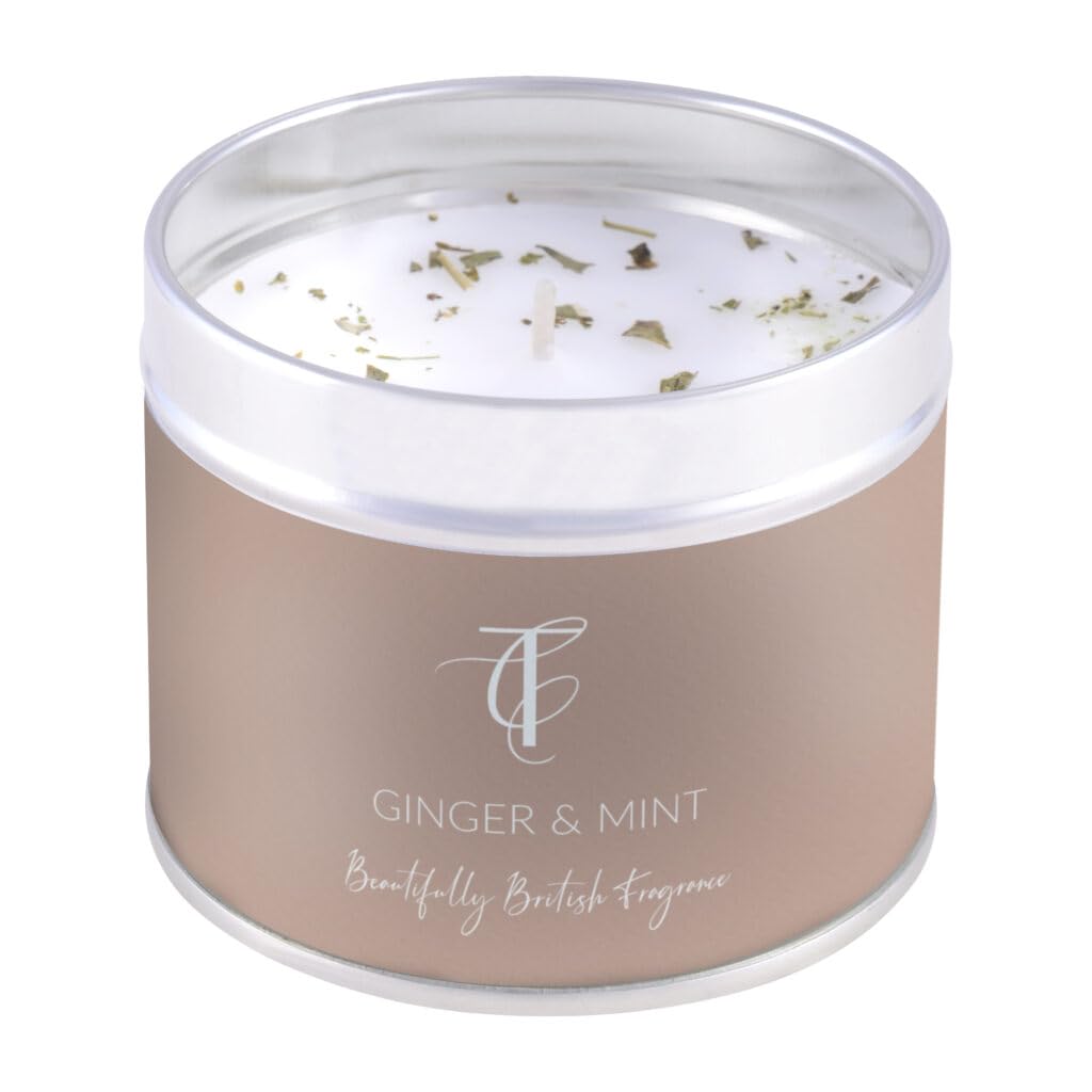 The Country Candle Co Pastels Range Candle in a Tin - Ginger & Mint