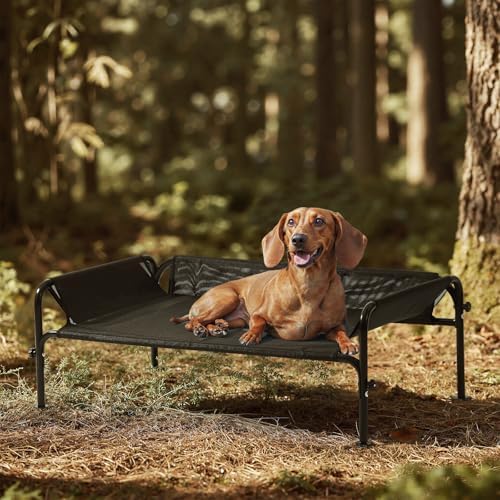 Gardner Pet Hundeliege Outdoor, Schwarz, S, 88 x 55 x 31 cm | Erhöhtes Haustierbett, Kühlend, Waschbar, Robuste Luftzirkulation, Für Draußen