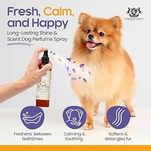 Aromatherapy Freshening & Shining Spray For Pets - Chamomile & Lavender Dog Spray Scent - Pet and Puppy Calming Products - Dog Calming Spray Comfort - 8 FL OZ Aromatherapy Freshening Shining Spray For Pets Chamomile Lavender Dog Spray Scent Pet and Puppy Calming Products Dog Calming Spray Comfort 8 FL OZ