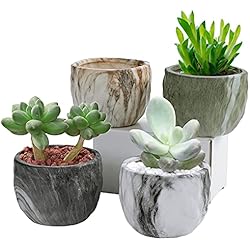 Macetas Ceramica Para Bonsai Coolty 4pcs Mini Maceta Suculenta de Cerámica, Cactus Suculentos Bonsái Maceta para Decoración del Hogar y la Oficina Regalo, 8.5CM