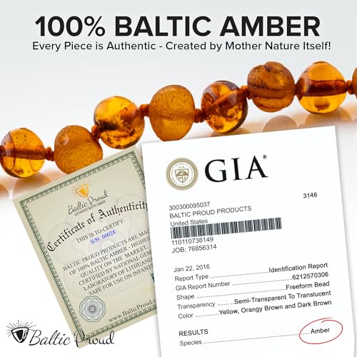 Baltic Proud Amber Necklace and Bracelet Gift Set (Unisex Cognac Mix 12.5 Inches/5.5 Inches) - Certified Premium Quality Raw Baltic Sea Amber2