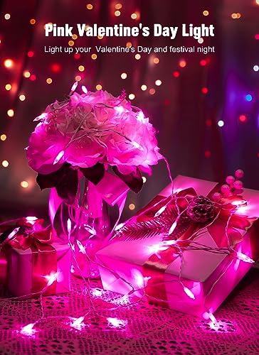 Image of Brightown 8ft 20LED Battery Operated Christmas String Lights with Timer | Warm White Mini Christmas Tree Lights for Indoor Outdoor Bedroom Wedding Party Holiday Xmas Decoration