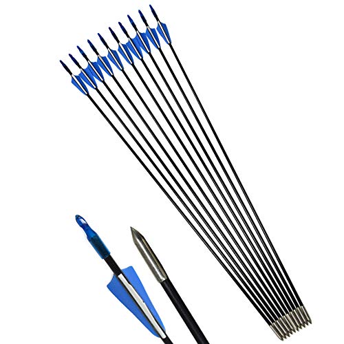 ZSHJG Tiro al Arco Flechas de Fibra de Vidrio 31