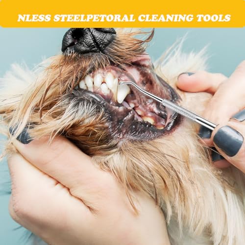 3PCS Zahnreinigung Set,Zahnsteinentferner Hund,Zahnstein Hund,Hunde Zahnsteinentferner,Zahnstein Entfernen Hund,Doppelkopf Zahnpflege Set,Scaler Für Hunde,Geeignet Für Hunde,Katzen,Haustiere