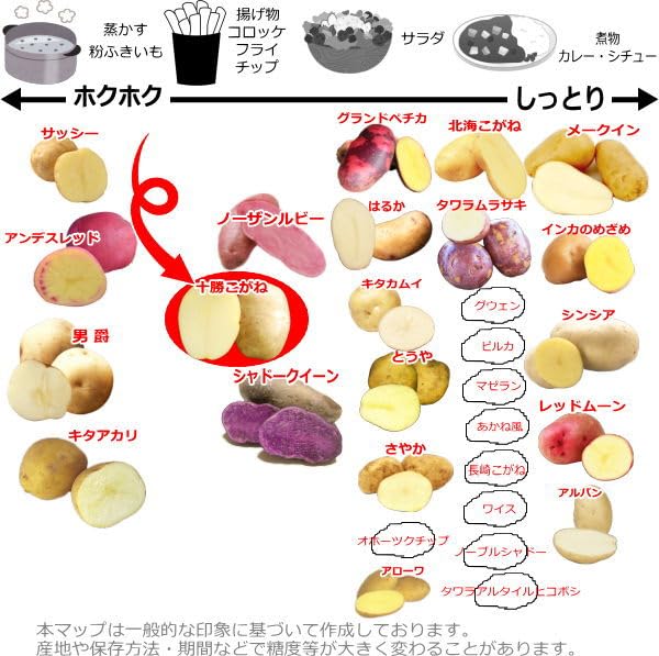 うみぼうず)ハスイモ 種芋 10Kg ハスイモの種芋 小10個 - メルカリ