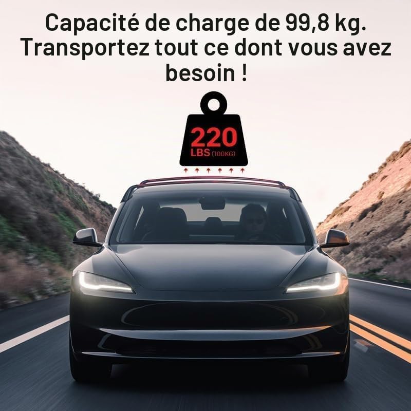 Barres de Toit transversales Haut de Gamme compatibles pour Tesla Model 3/Y 2017-2024, Galerie de Toit Haute capacité pour Coffre de Toit et Porte-vélo