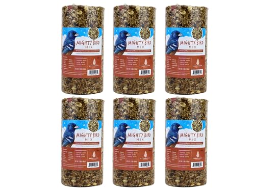 Evergreen Farm and Garden Birdseed Cylinders with Hole - Bird Seed for Outside Wild Birds (Small Cylinder, Mighty Bird Mix 6pc)