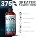 Living Silica ORGONO Collagen Booster | Vegan Mineral-Based Silica Supplement | Supports Healthy Collagen & Elastin Production for Joint & Bone Support, Glowing Skin, Strong Hair & Nails | 16.9 Fl Oz