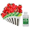 AeroGarden Red Heirloom Cherry Tomato Seed Pod Kit for AeroGarden Hydroponic Indoor Garden, 9-Pod 9-pod Red Heirloom Cherry Tomato