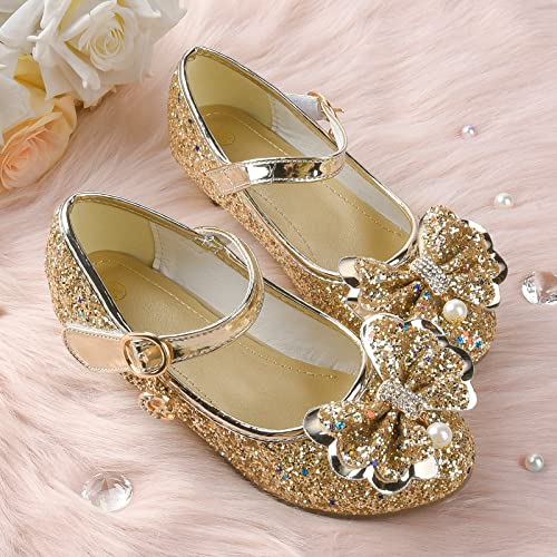 Princess Dress Shoes Flower Girls Low Heel Glitter Party Mary Jane3