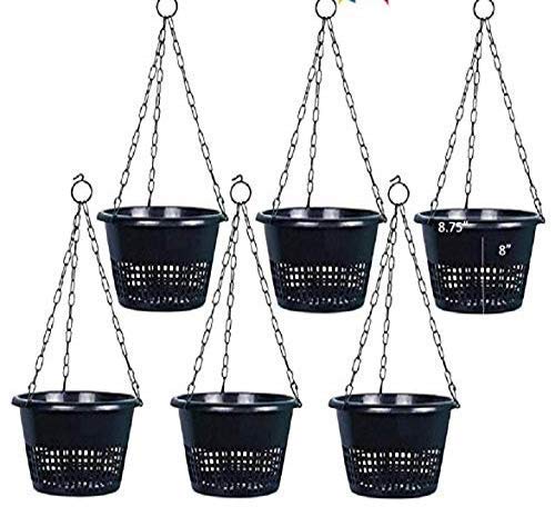 See full amazon price history chart for Orchid Hanging Pot with Metal Chain (Pack of 6) - TT Traders Orchid Hanging Pot with Metal Chain (Pack of 6) - TT Traders (B085TPB7CN) Amazon Price History, Amazon Price Tracker