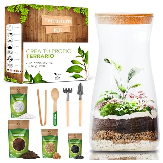 Kit Terrario Plantas DIY - Set con Frasco de Cristal Ecosistema Cerrado Plantas para Jardin en Botella - Terrarium de Cristal para Bosque Eterno de Interior - Kit Creación de Terrario Sin Planta
