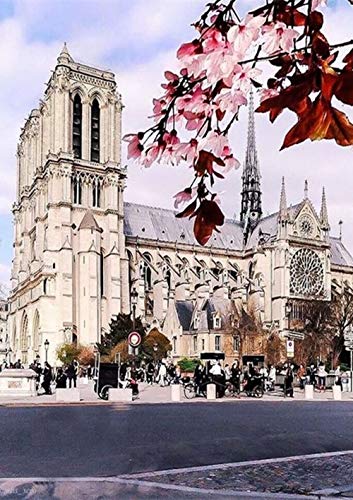Kit de punto de cruz con diamantes numeros 5D y diseño de Notre Dame de Paris,diamond painting kit cuadros a punto de cruz para manualidades y decoración de hogar decoración para iglesias 30x40cm