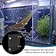 PH PandaHall Acryl-Aquarium-Trennwand-Set Klare Aquarium-Trennwand Aquarium-Trennwand-Set mit Saugnäpfen, Isoliergitter, Klappe und Trennnetz zum Trennen von Fischen Zubehör, 30 x 25 cm
