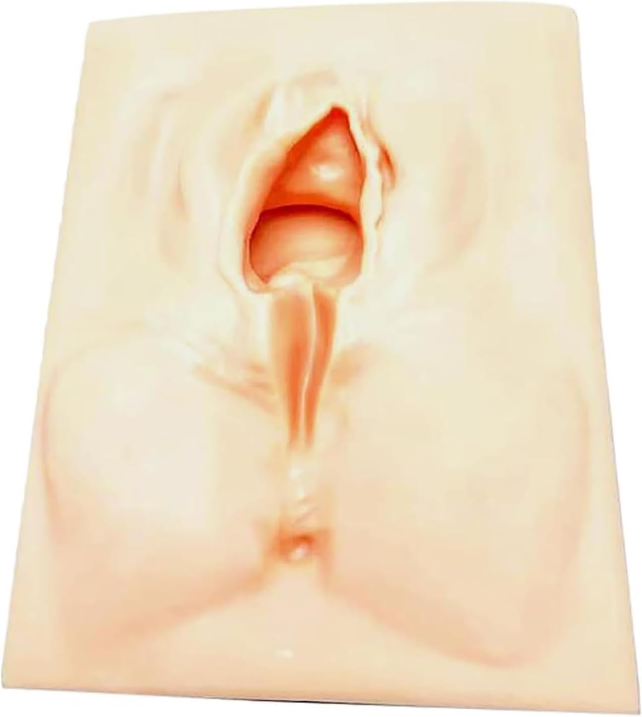 Modelo de Práctica de Sutura Vulvar, Modelo de Práctica de Sutura Perineal Con Incisión de Vulva Femenina (línea Media), Kit de Práctica de Sutura Reutilizable de Alto Aislamiento Suave Y Resistente