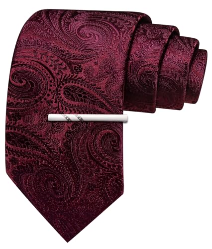 Image of Barry.Wang Paisley Tie for Men Silk Woven Necktie and Tie Clip Set Wedding Party Business Formal