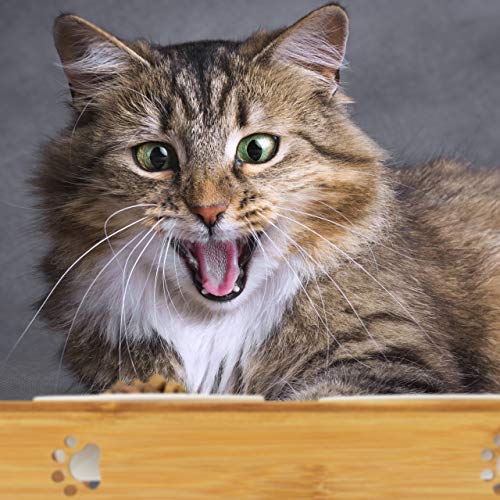 Relaxdays 3er Napfständer Bambus, Keramikschalen Wasser & Futter, spülmaschinenfest, Napfbar Katzen, kleine Hunde, natur, L