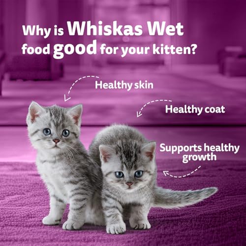 Image of Whiskas Junior Kitten (2-12 Months) Wet Cat Food, Salmon in Jelly Flavour, 80 g, Hydrating Food Made with Real Fish, 100% Complete & Balanced Nutrition for Kittens