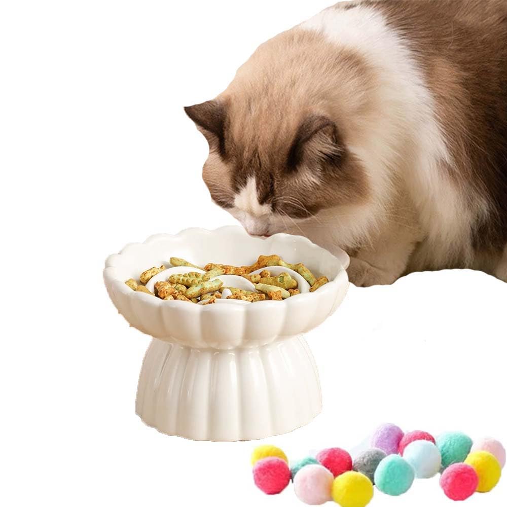 QualfsTerric Ceramic Raised Cat Slow Feeder Bowls Whisker Friendly Anti Vomiting Cat Bowl Raised Rim Spill Proof Slow Eating Food Bowls for Cats Puppy Dogs Food Plates Neck Support (White)