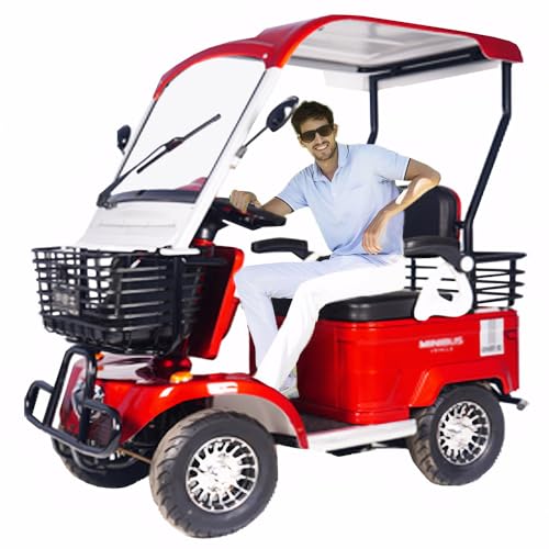 DIMHLCDZA 2P Electric Golf Cruiser