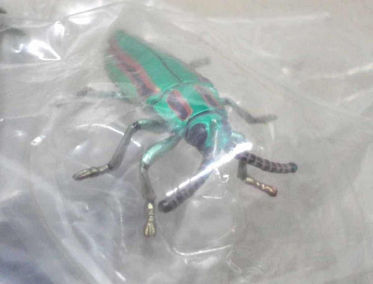 ユージン　原色日本昆虫図鑑I　11種＋シークレット　コンプリート　内袋未開封 ユージン 原色日本昆虫図鑑Ⅰ カブトムシ - メルカリ