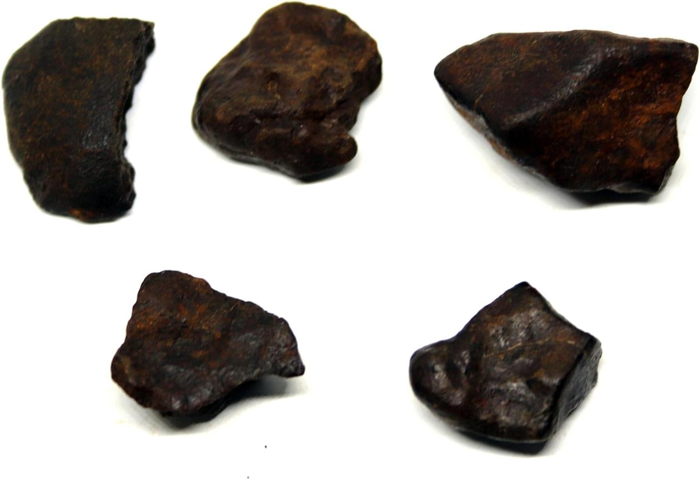 Fossils, Meteorites, & More Chondrite Moroccan Stony Meteorite Lot of 5 Genuine 47.5 Grams w/COA #16611 4o