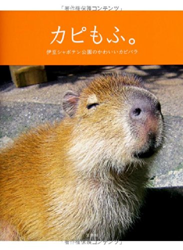 カピもふ 伊豆シャボテン公園のかわいいカピバラ 本 通販 Amazon カピもふ 伊豆シャボテン公園のかわいいカピバラ 本 通販 Amazon