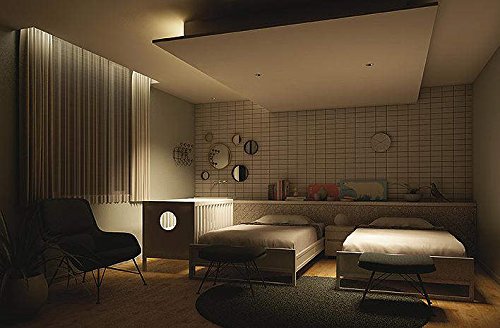 Amazon.co.jp: 大光電機（DAIKO） ダウンライト LED 7.4W 電球色