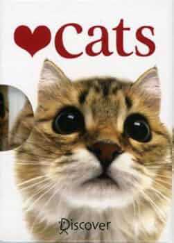 ❤️cats n horse’s ❤️追加分① 51kjYOIa0uL._UF350,350_QL50_.jpg