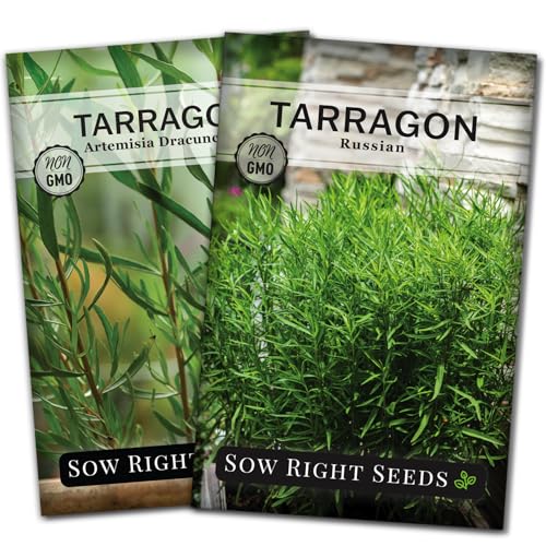 Sow Right Seeds - Tarragon Seed Collection for Planting - French and Russian Varieties - Non-GMO Heirloom Packet with Instructions to Plant an Outdoor or Indoor Herb Garden - Perennial Leafy Green