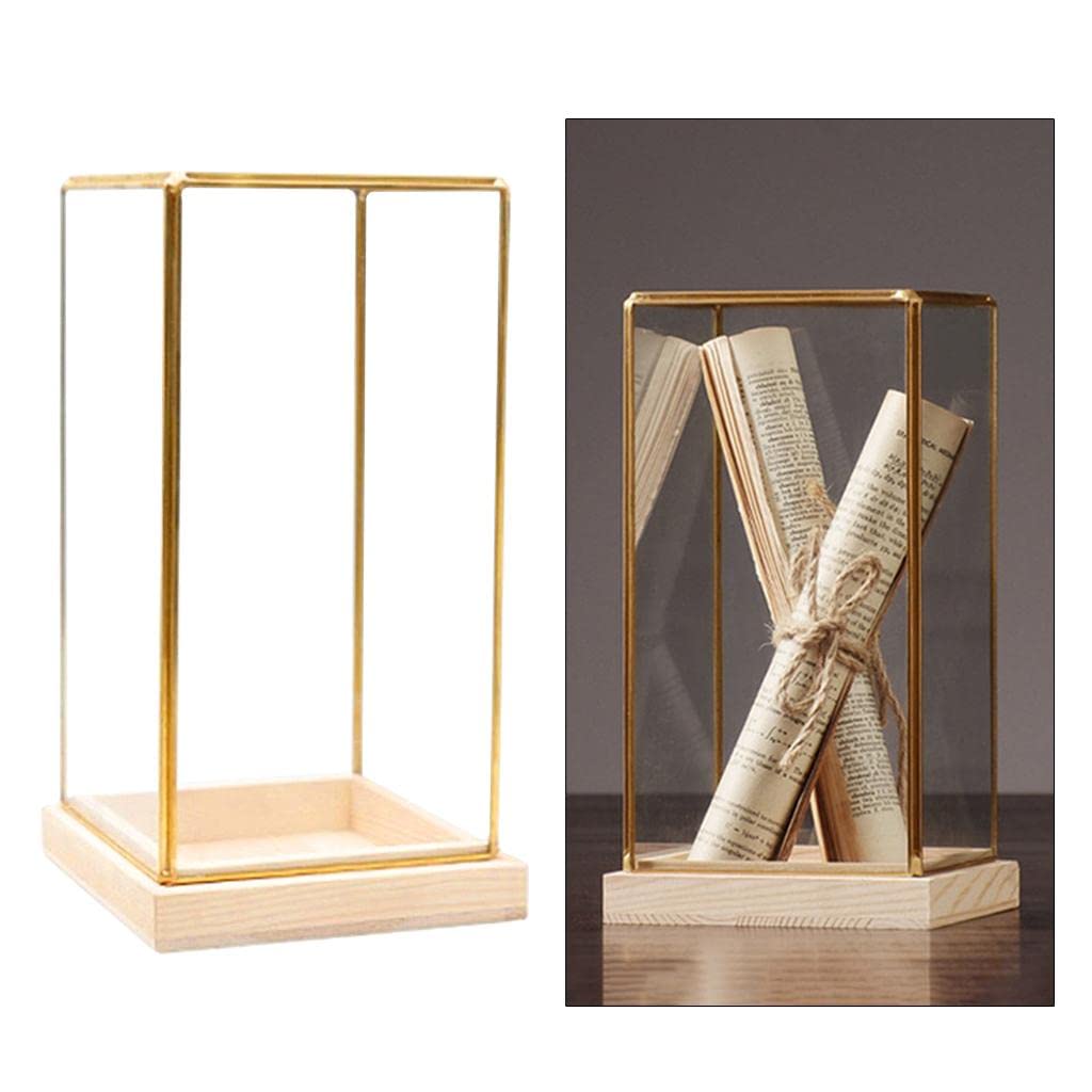 Amazon.co.jp: homozy ジェネリックガラスディスプレイケース 装飾防塵