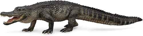 CollectA Wildlife American Alligator Toy Figure - Auténtico modelo de reptil pintado a mano